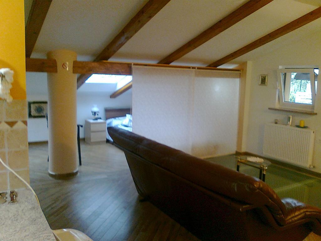 Apartma "Pod Matajurjem" Mountains View Кобарид Номер фото